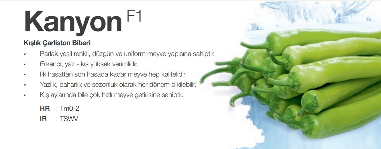 kanyon-f1-carli-biber-fidesi